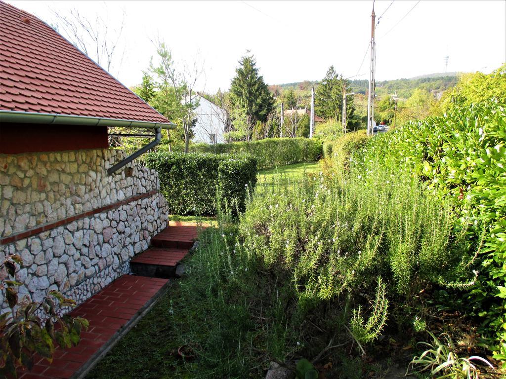 Mediterrán apartman Pécs Exterior foto