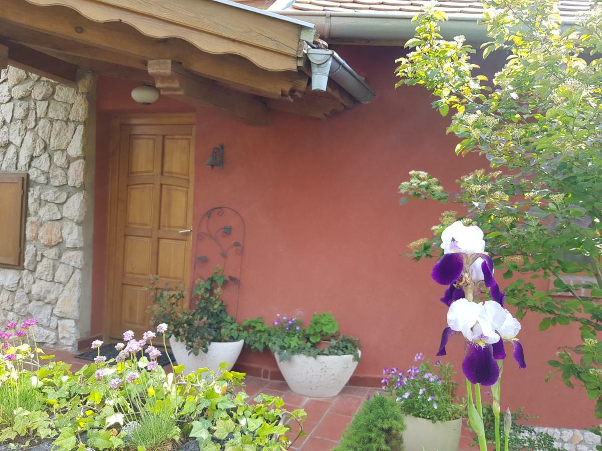 Mediterrán apartman Pécs Exterior foto