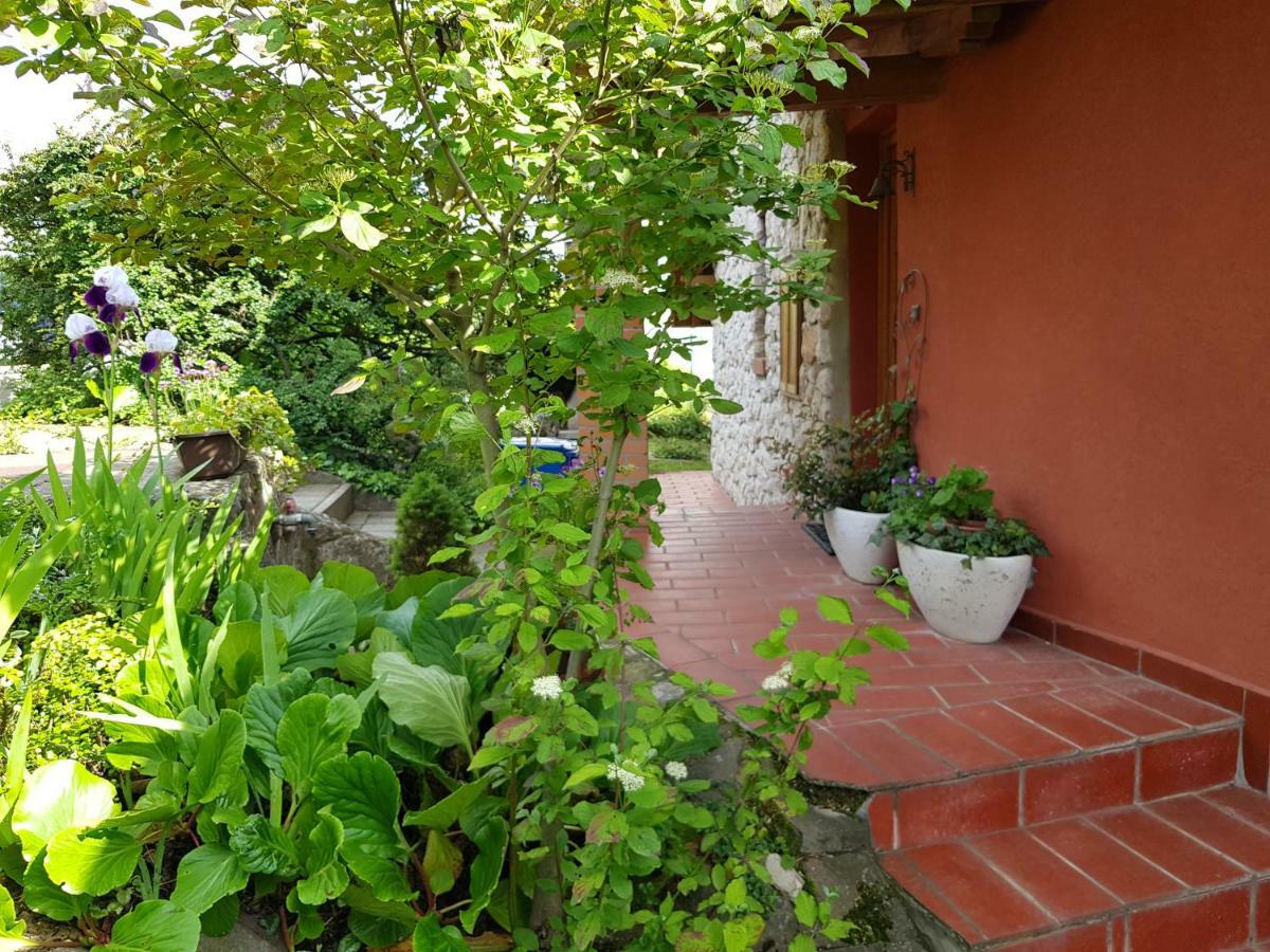 Mediterrán apartman Pécs Exterior foto