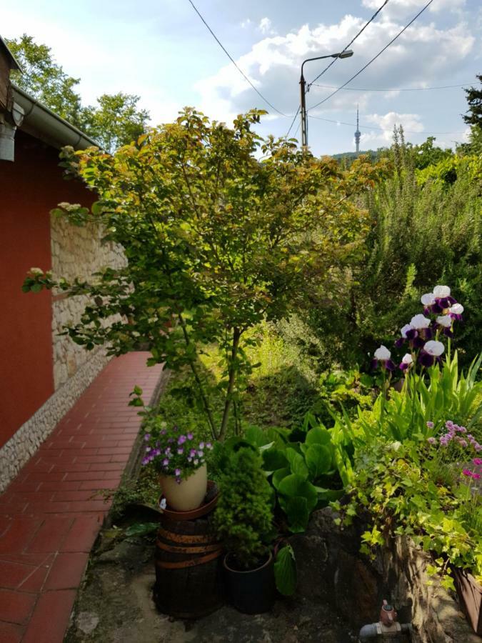 Mediterrán apartman Pécs Exterior foto